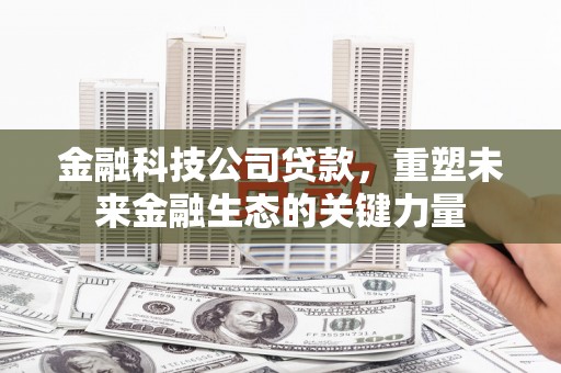 金华金融科技公司贷款，重塑未来金融生态的关键力量