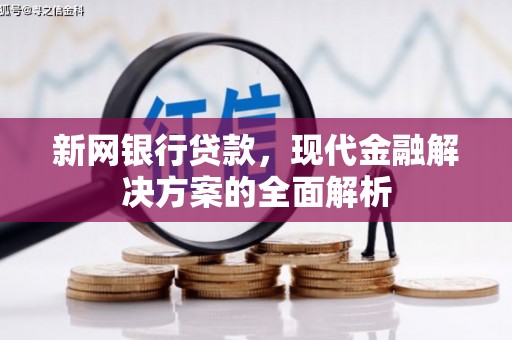 金华新网银行贷款，现代金融解决方案的全面解析