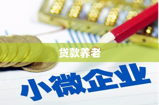 金华贷款养老