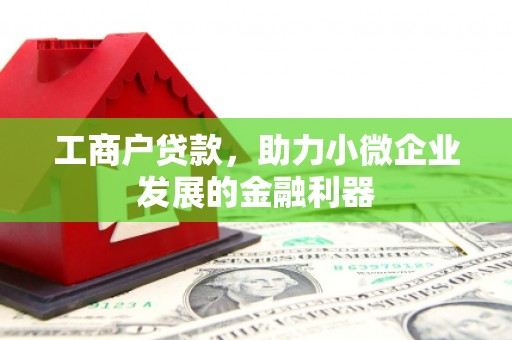 金华工商户贷款，助力小微企业发展的金融利器
