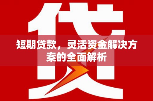 金华短期贷款，灵活资金解决方案的全面解析