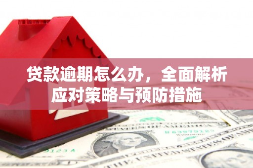 金华贷款逾期怎么办，全面解析应对策略与预防措施