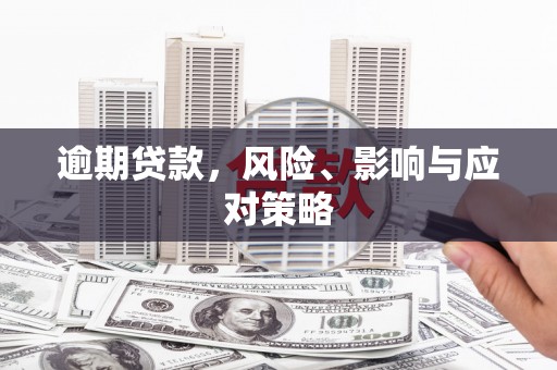 金华逾期贷款，风险、影响与应对策略