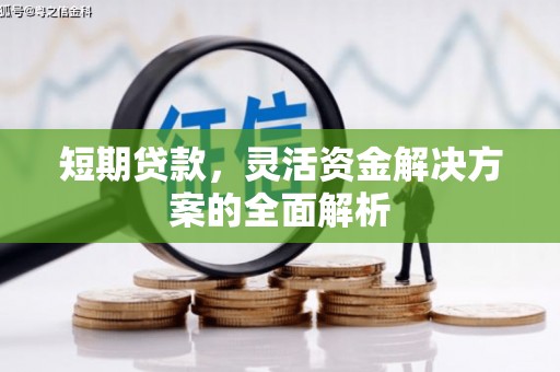金华短期贷款，灵活资金解决方案的全面解析