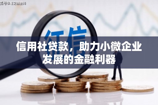 金华信用社贷款，助力小微企业发展的金融利器
