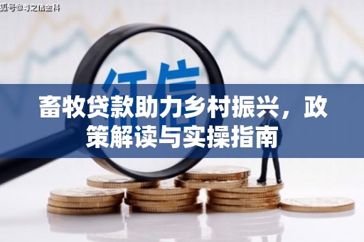 金华畜牧贷款助力乡村振兴，政策解读与实操指南