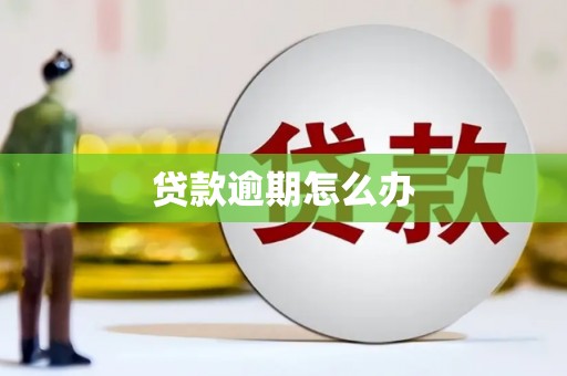 金华贷款逾期怎么办