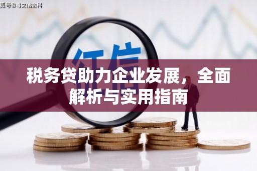 金华税务贷助力企业发展，全面解析与实用指南