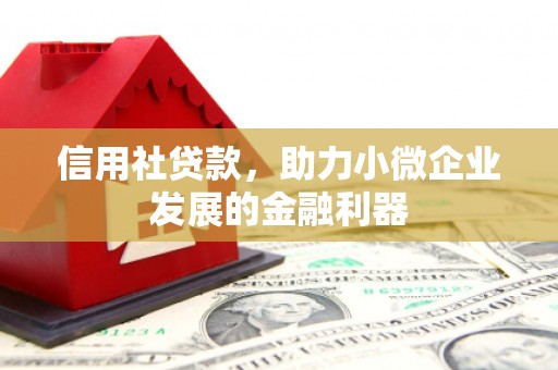 金华信用社贷款，助力小微企业发展的金融利器