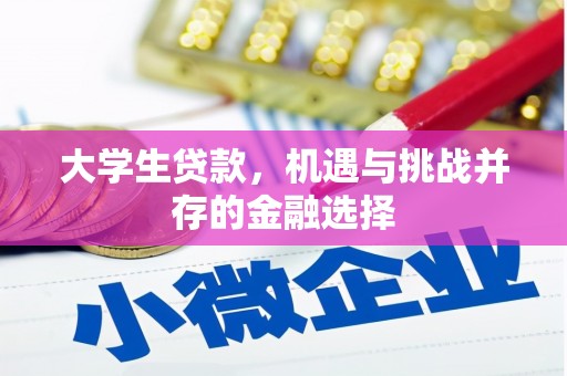 金华大学生贷款，机遇与挑战并存的金融选择