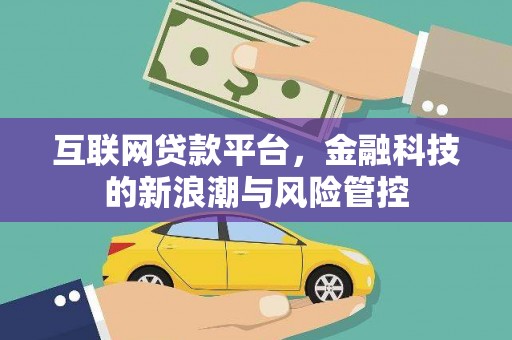 金华互联网贷款平台，金融科技的新浪潮与风险管控