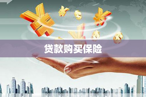 金华贷款购买保险