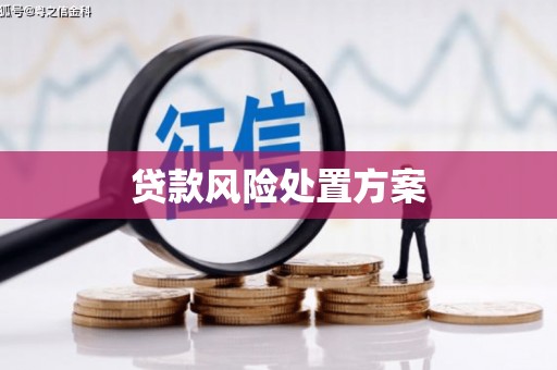 金华贷款风险处置方案
