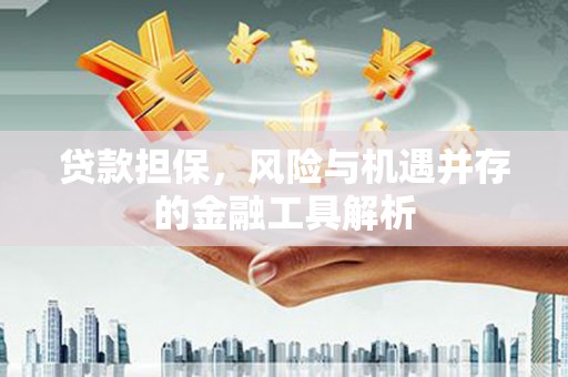 金华贷款担保，风险与机遇并存的金融工具解析