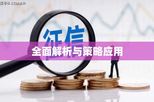金华全面解析与策略应用