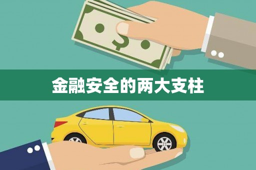 金华金融安全的两大支柱