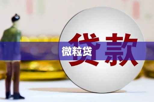 金华微粒贷