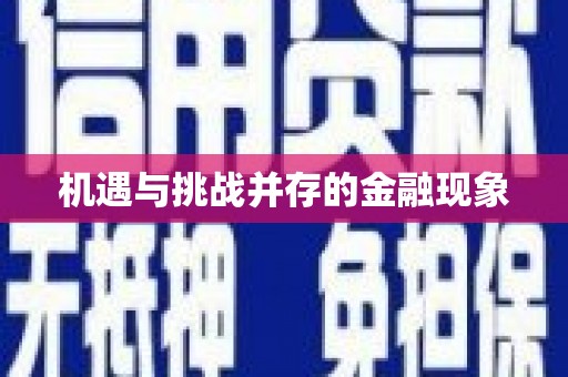 金华机遇与挑战并存的金融现象