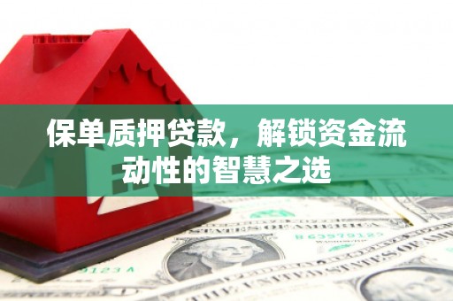 金华保单质押贷款，解锁资金流动性的智慧之选