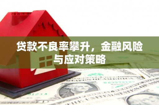 金华贷款不良率攀升，金融风险与应对策略