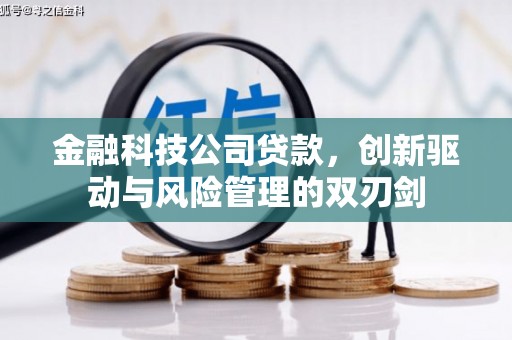 金华金融科技公司贷款，创新驱动与风险管理的双刃剑